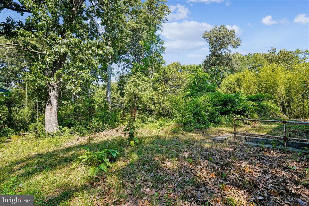 1208 Shenandoah Road photo 20