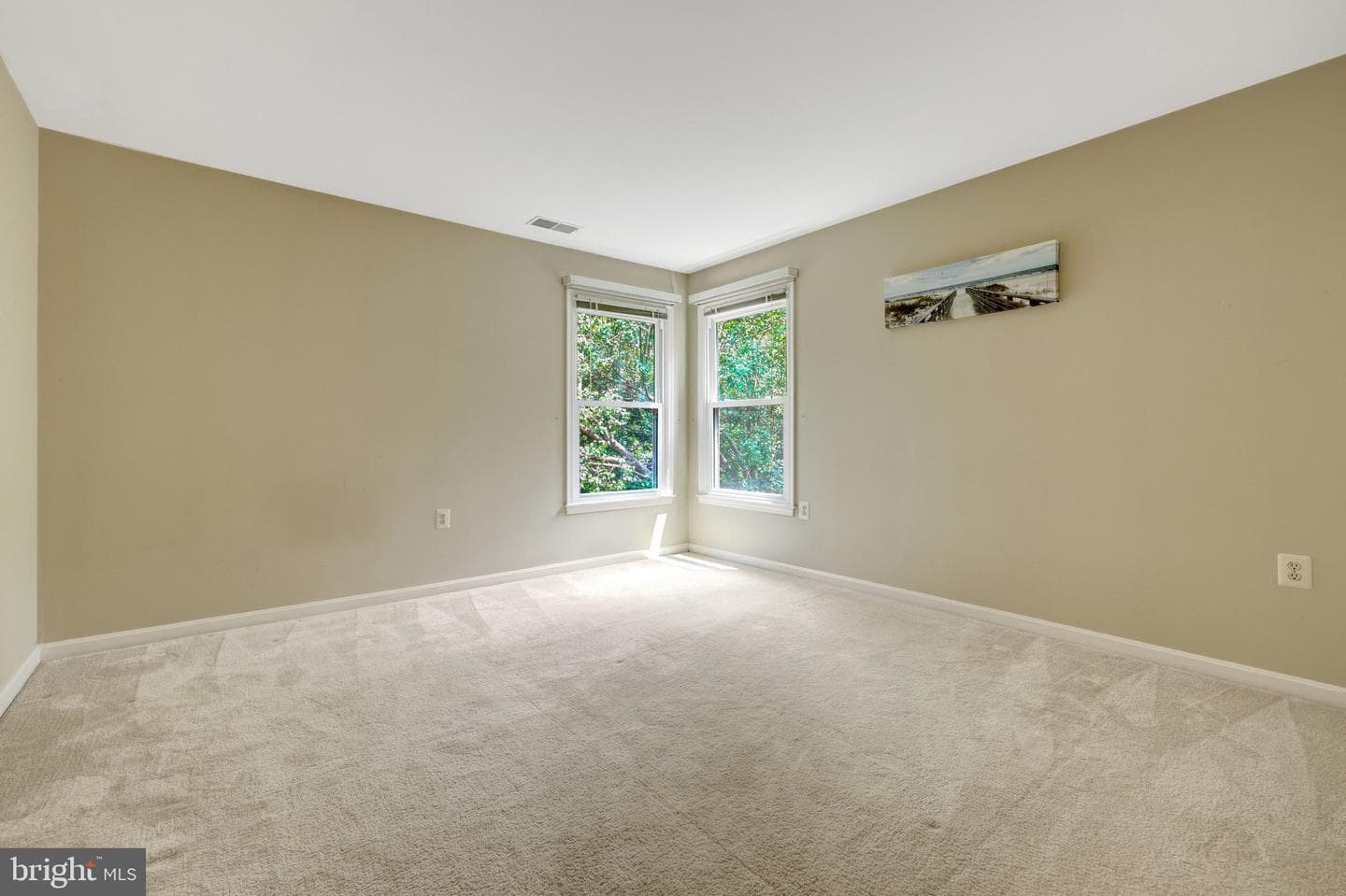 1502 Snowflake Court photo 48