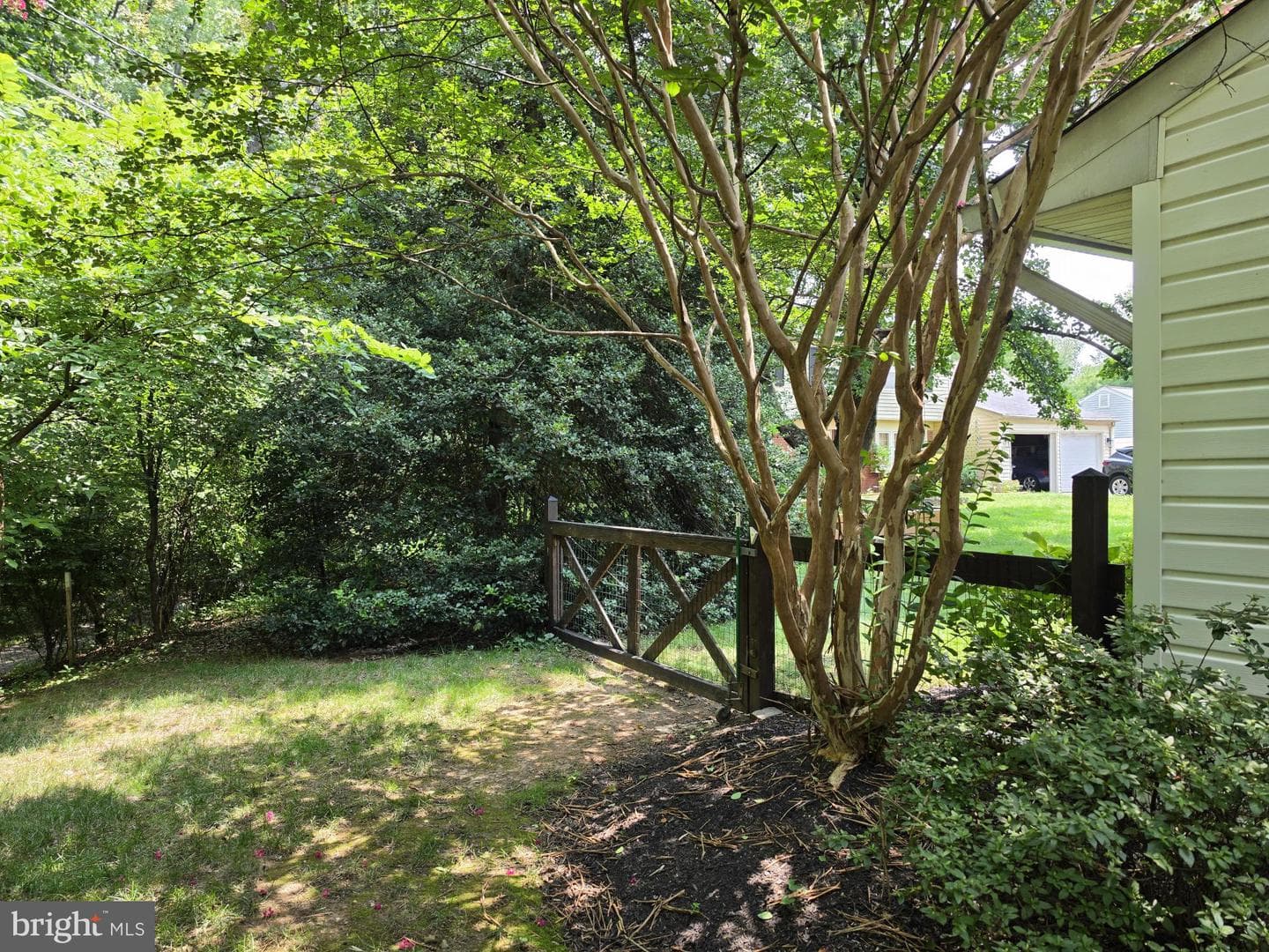 12912 Mount Royal Lane photo 7