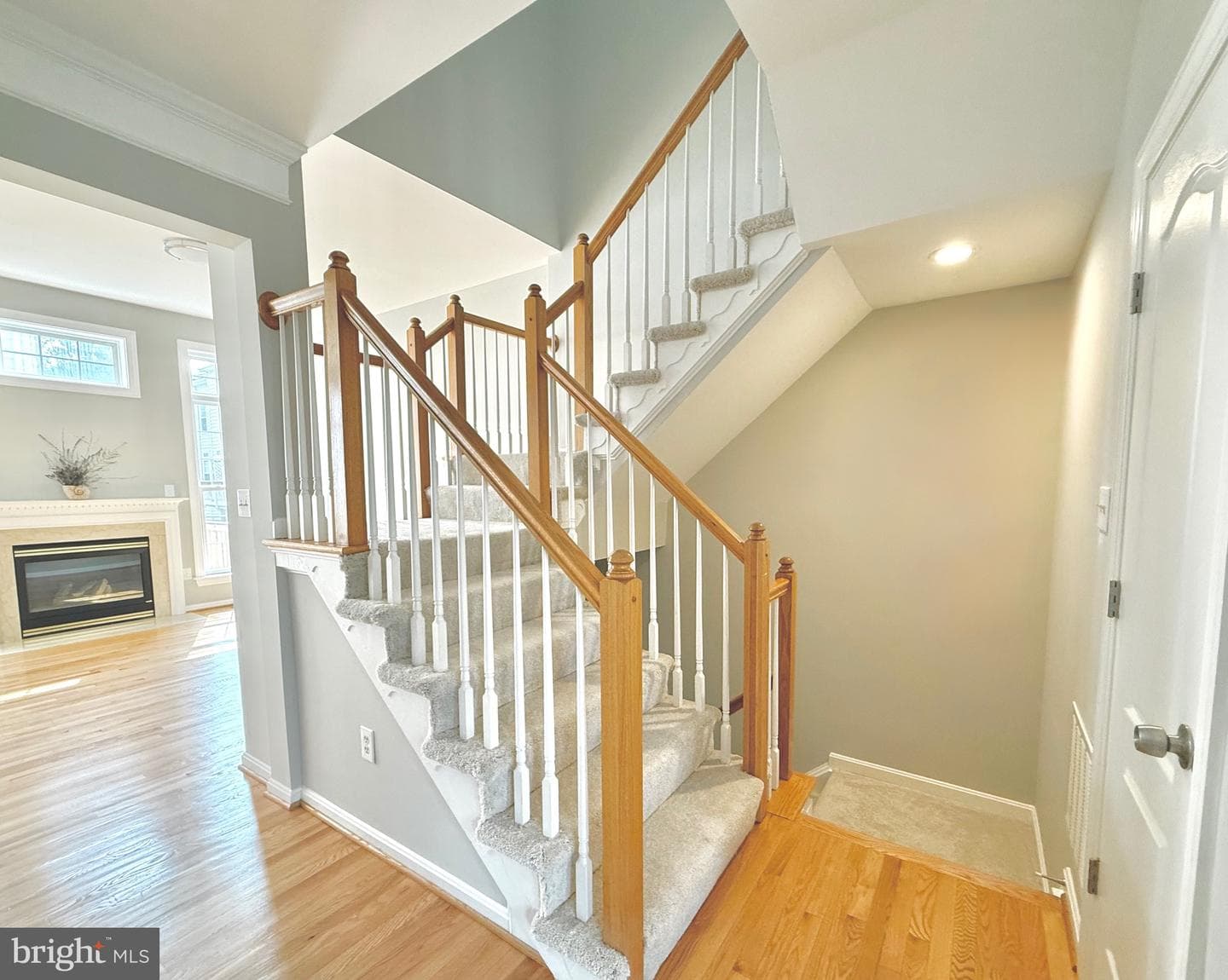 8145 Quinn Terrace photo 21