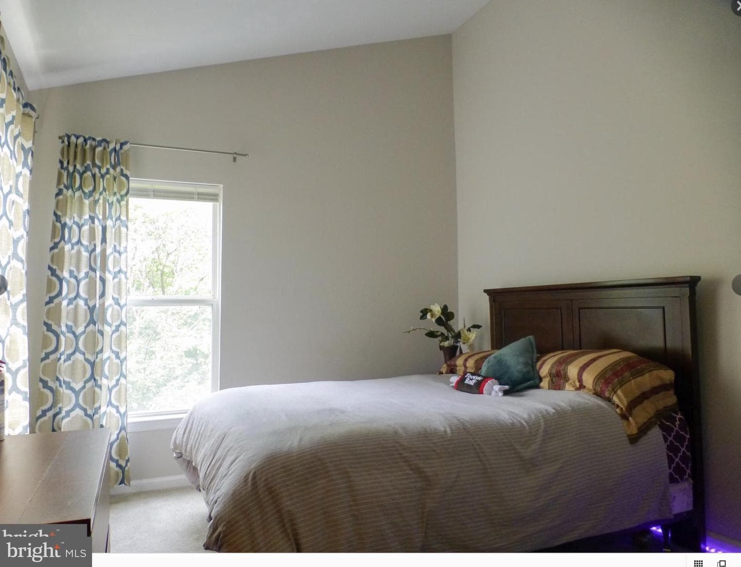 13222 Goose Pond Lane photo 20