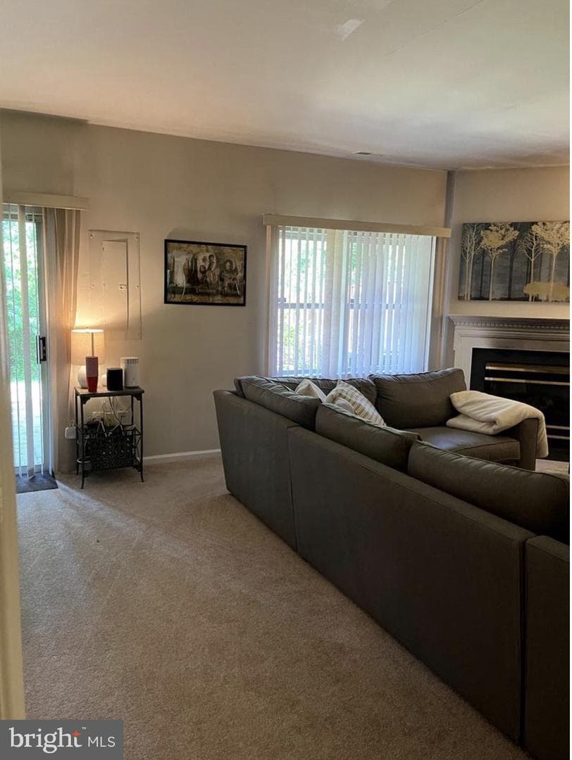 13222 Goose Pond Lane photo 23