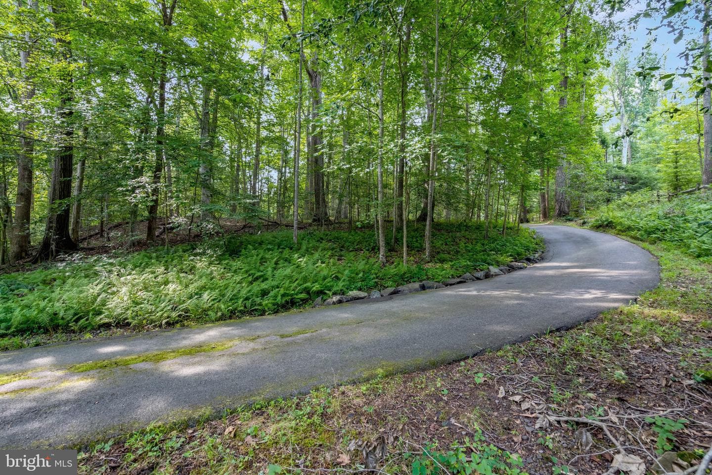 7430 Clifton Road photo 77