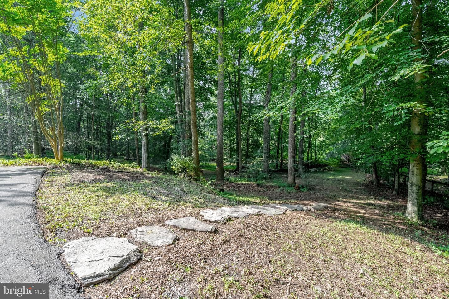 7430 Clifton Road photo 81