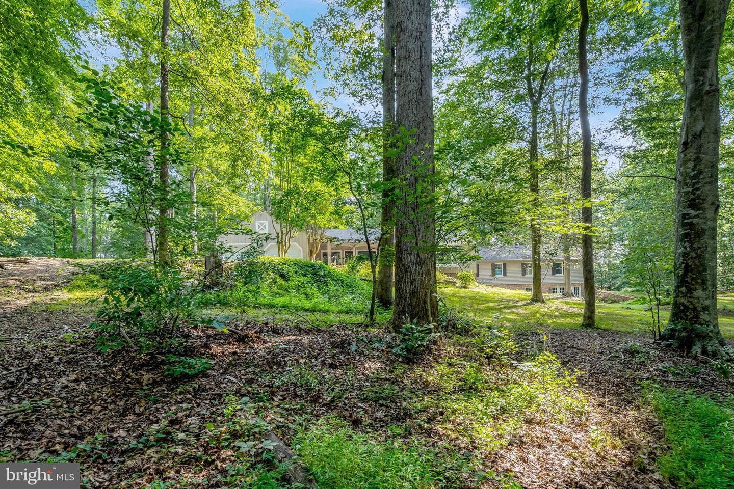 7430 Clifton Road photo 84