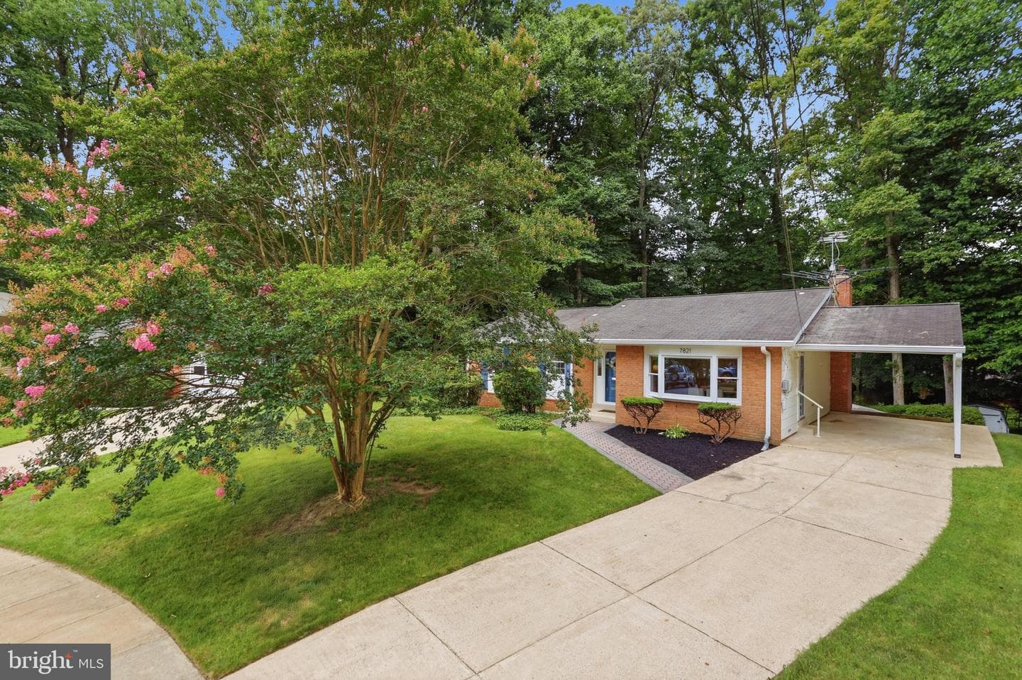 7821 Penley Place photo 3