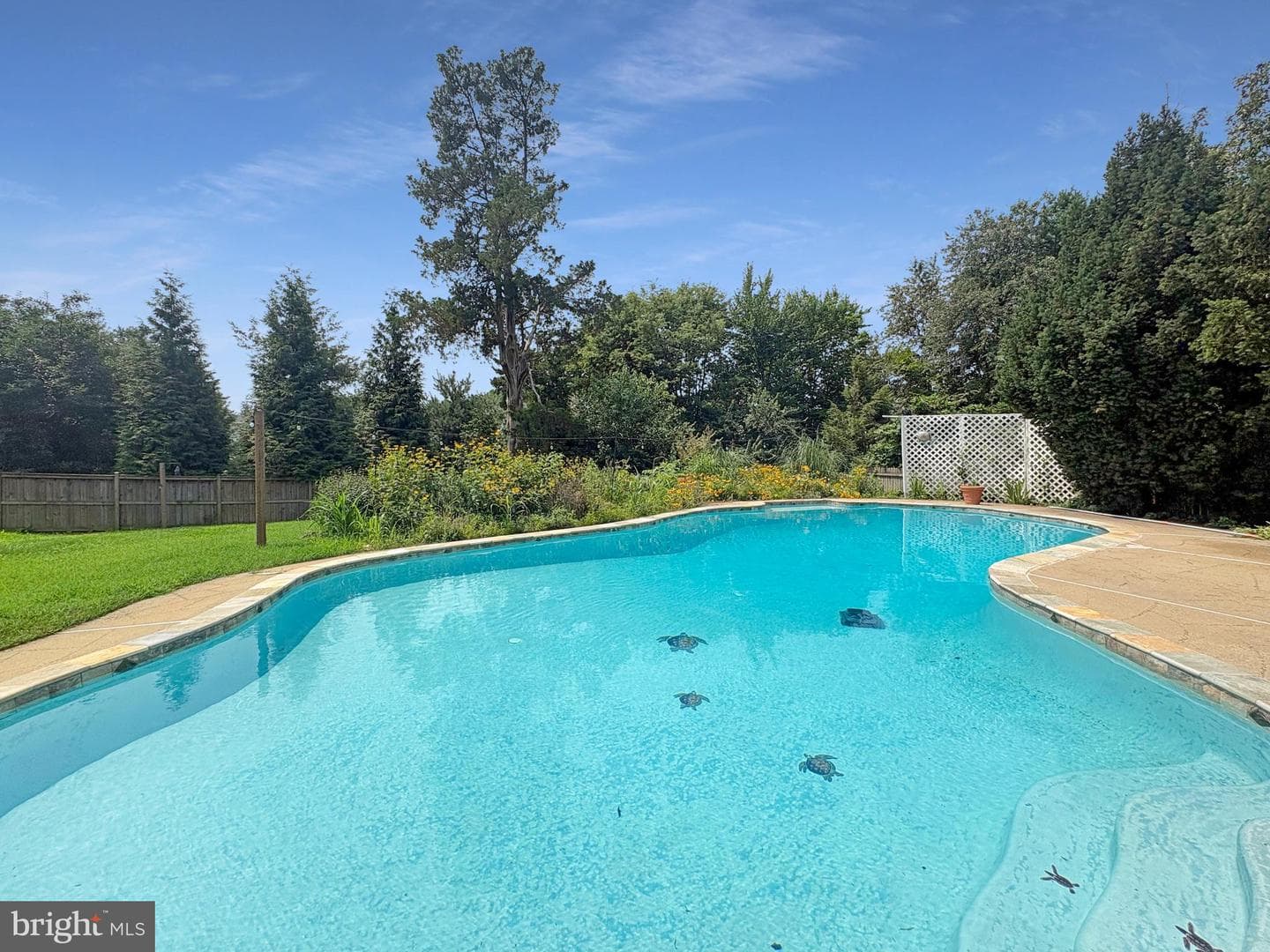 13513 Copper Ridge Drive photo 3