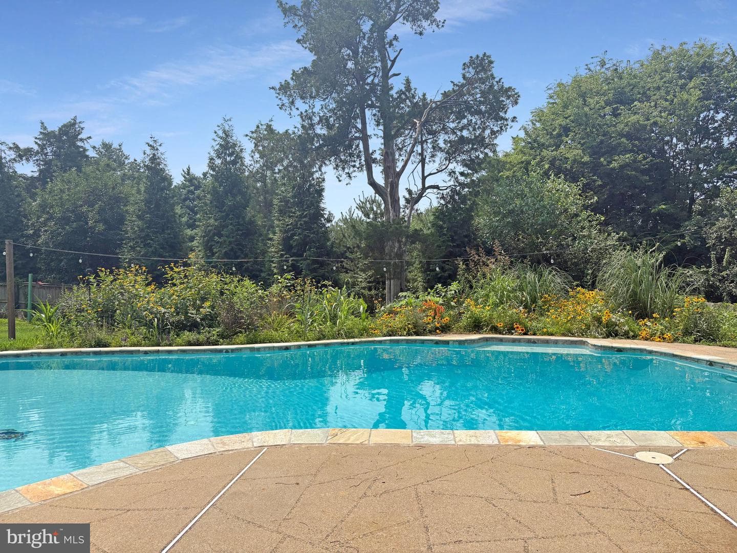 13513 Copper Ridge Drive photo 4