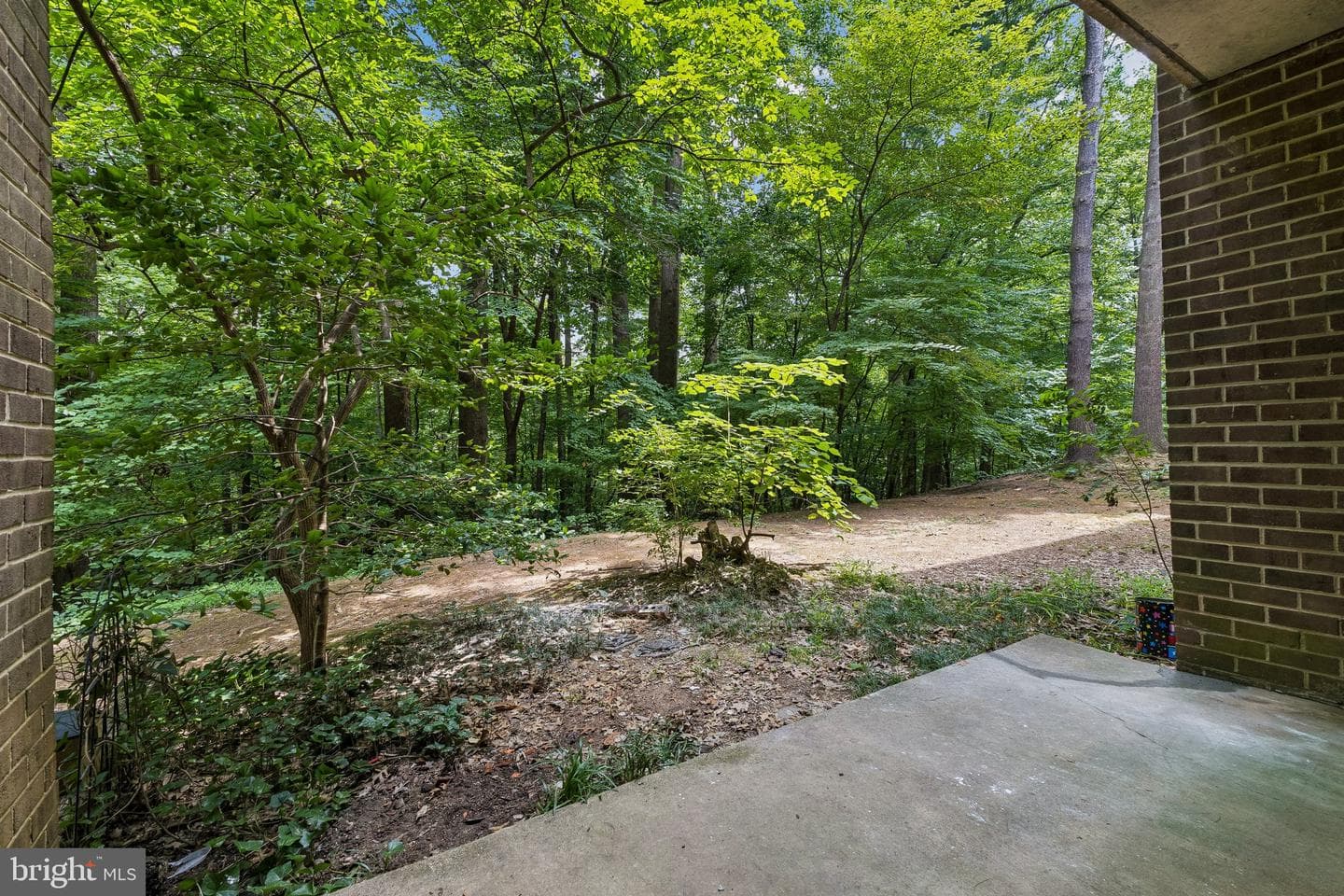 1554 Northgate Square #apt 1a photo 24