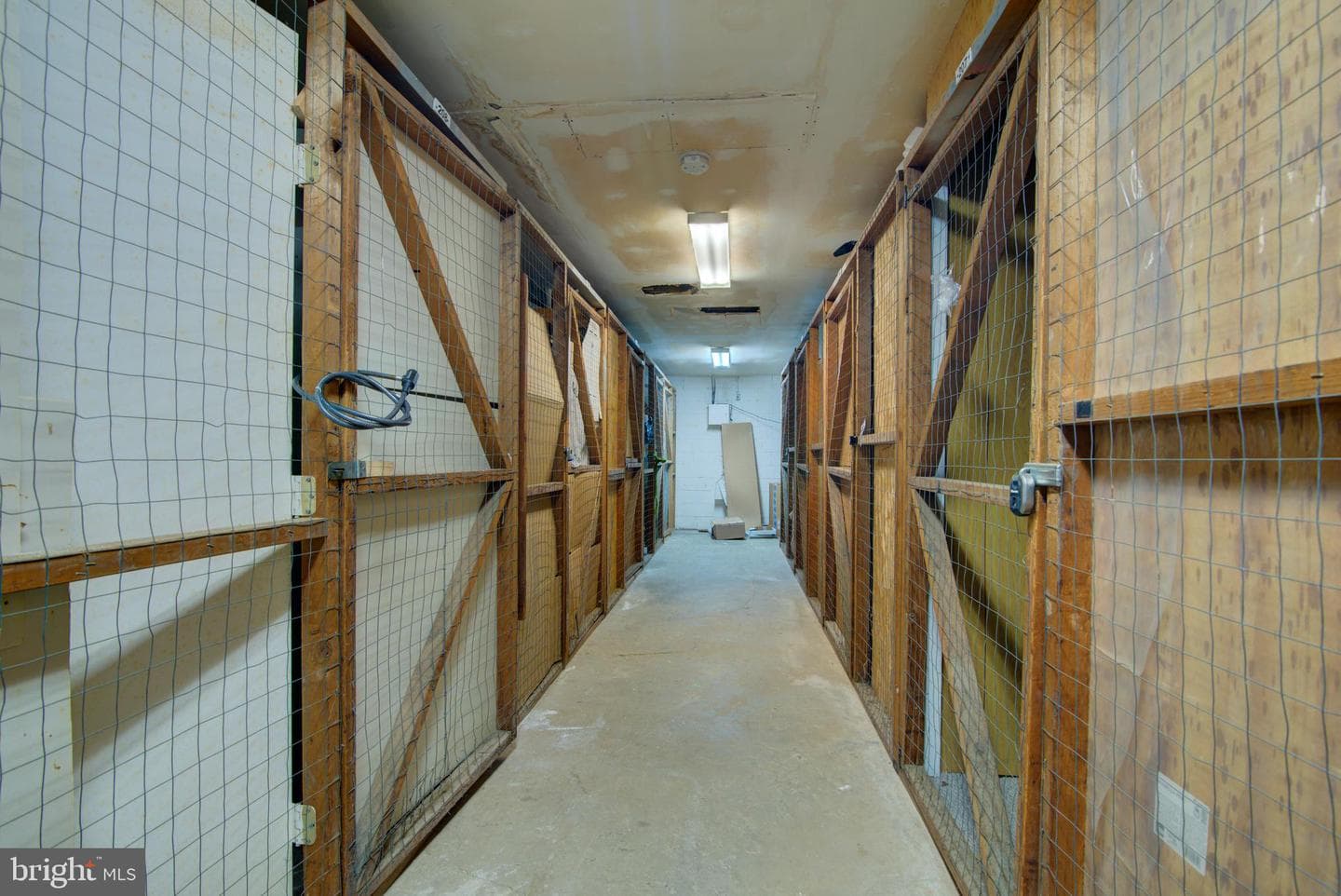 4909 Americana Drive #t6 photo 16