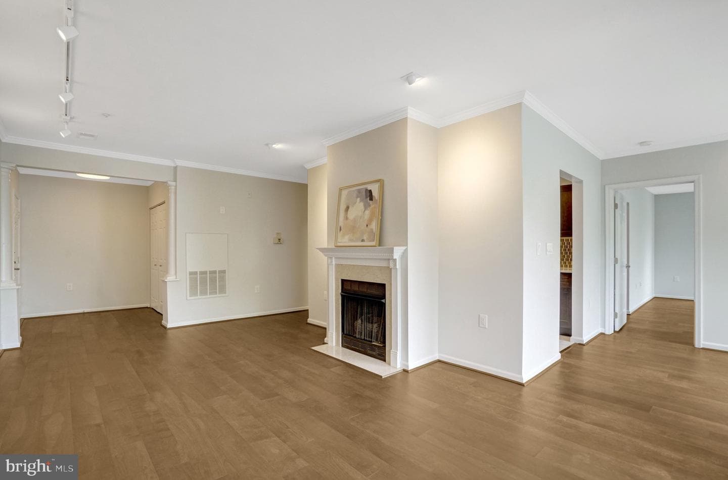 6990 Falls Reach Drive #301 photo 5