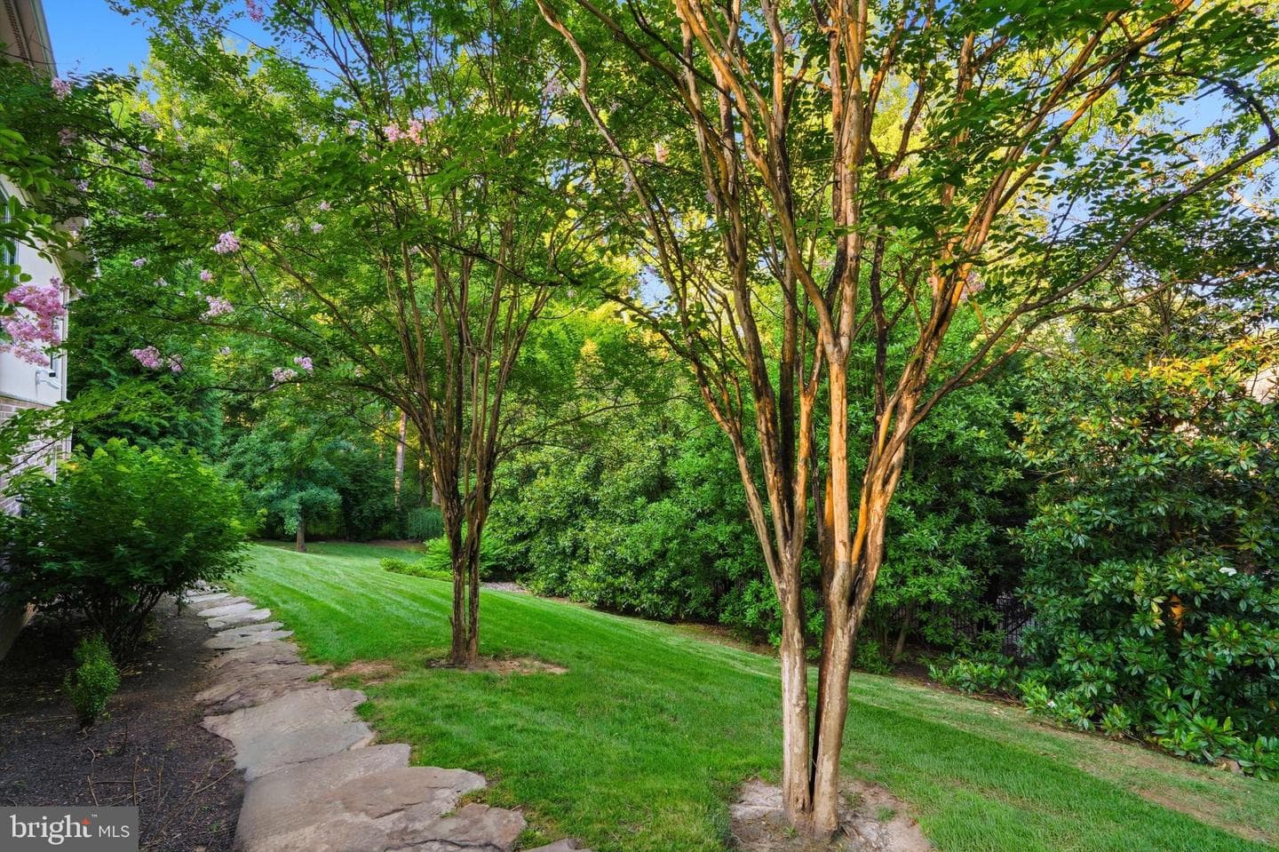 1239 Daleview Drive photo 55