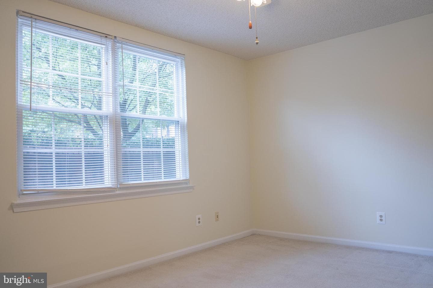 12102 Green Leaf Court #102 photo 28