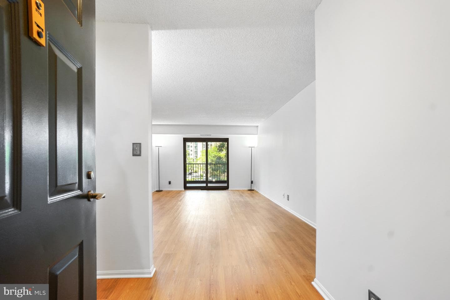 5902 Mount Eagle Drive #315 photo 3