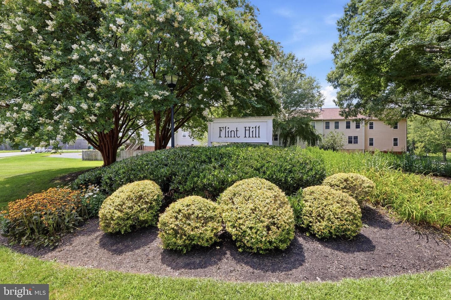 3126 Valentino Court photo 48