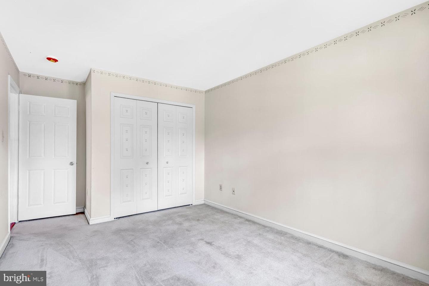 4217 Scotland Road photo 48