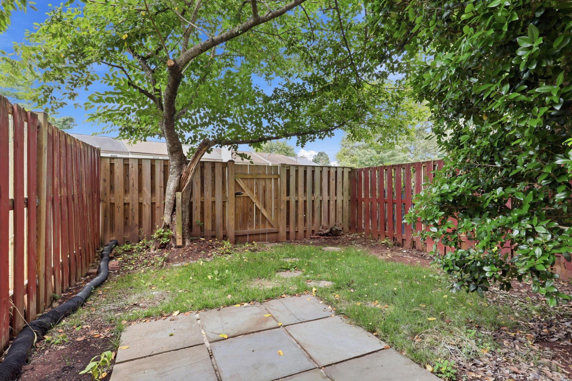 14361 Watery Mountain Court photo 21