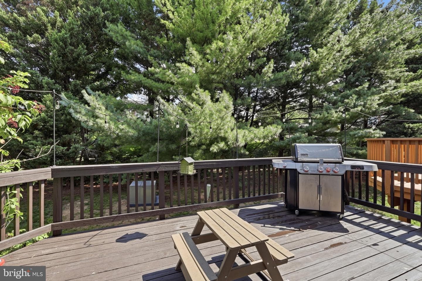 11432 Tiger Lily Lane photo 20