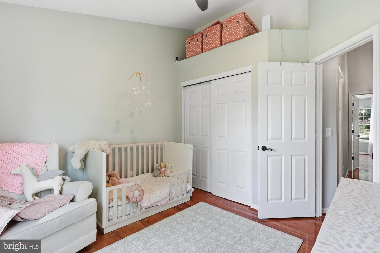 11432 Tiger Lily Lane photo 31