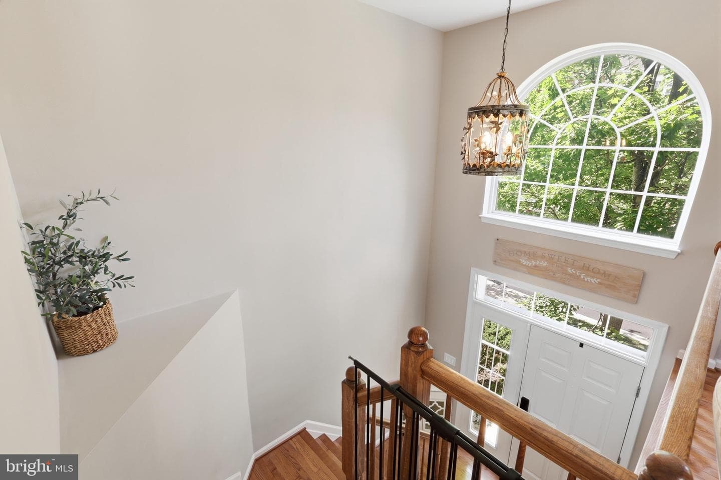 11432 Tiger Lily Lane photo 6