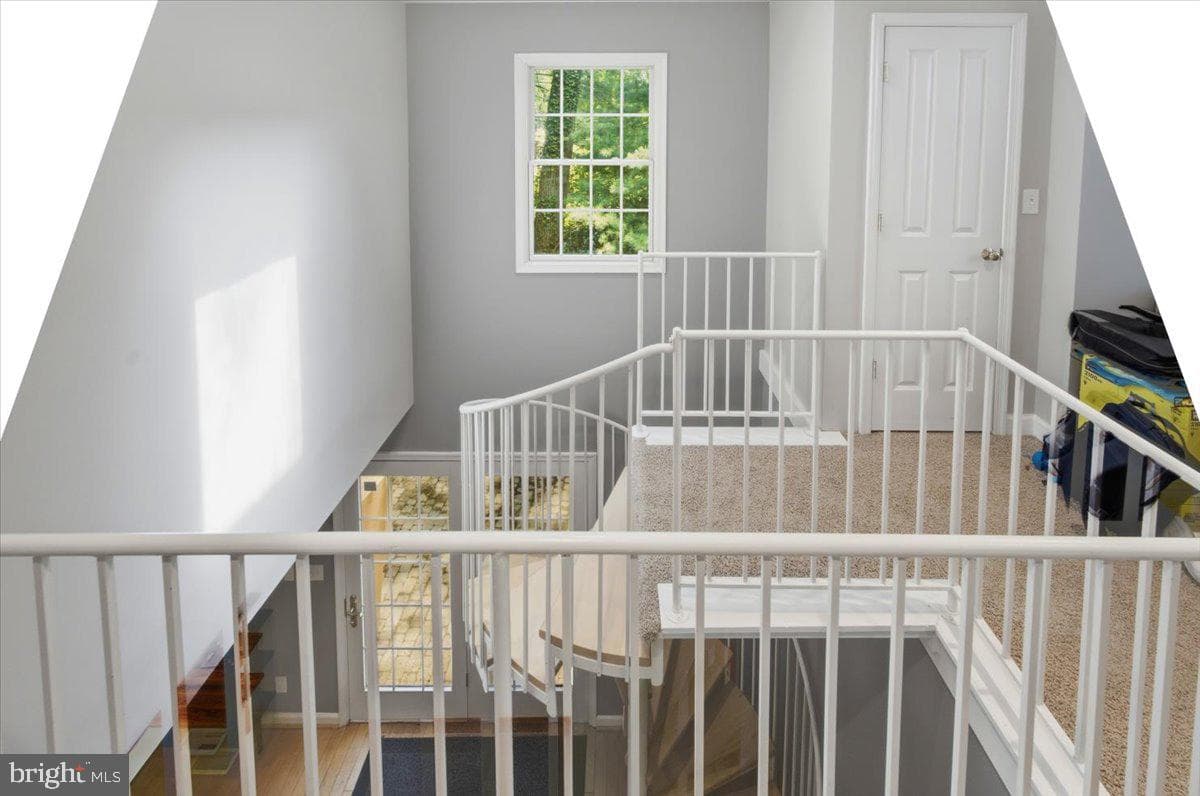 5803 Hall Street photo 39