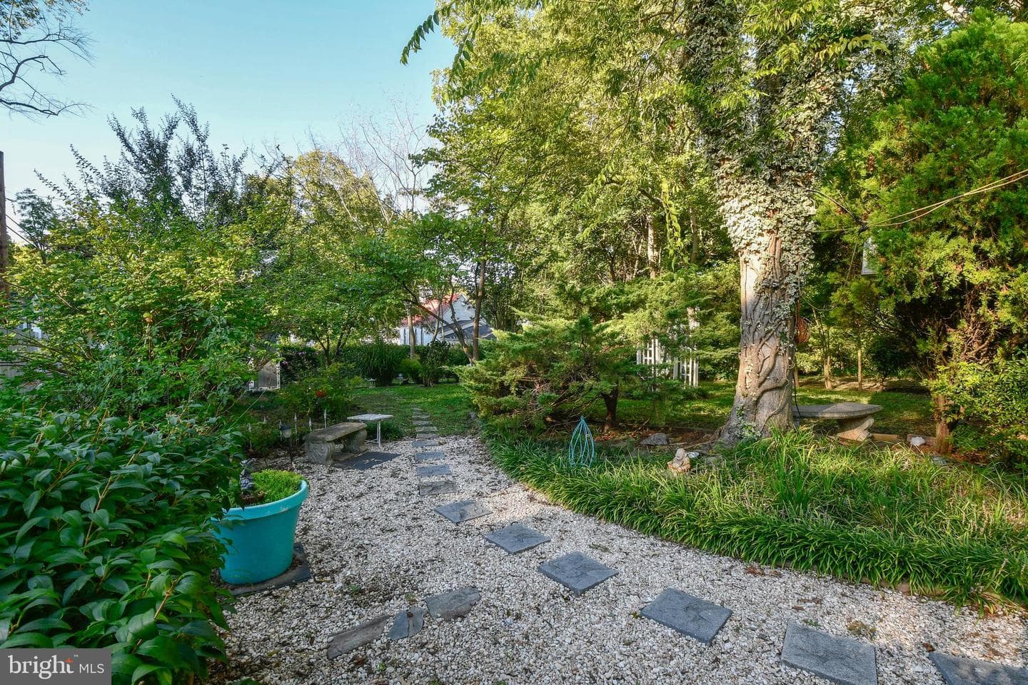 310 Southampton Street photo 5