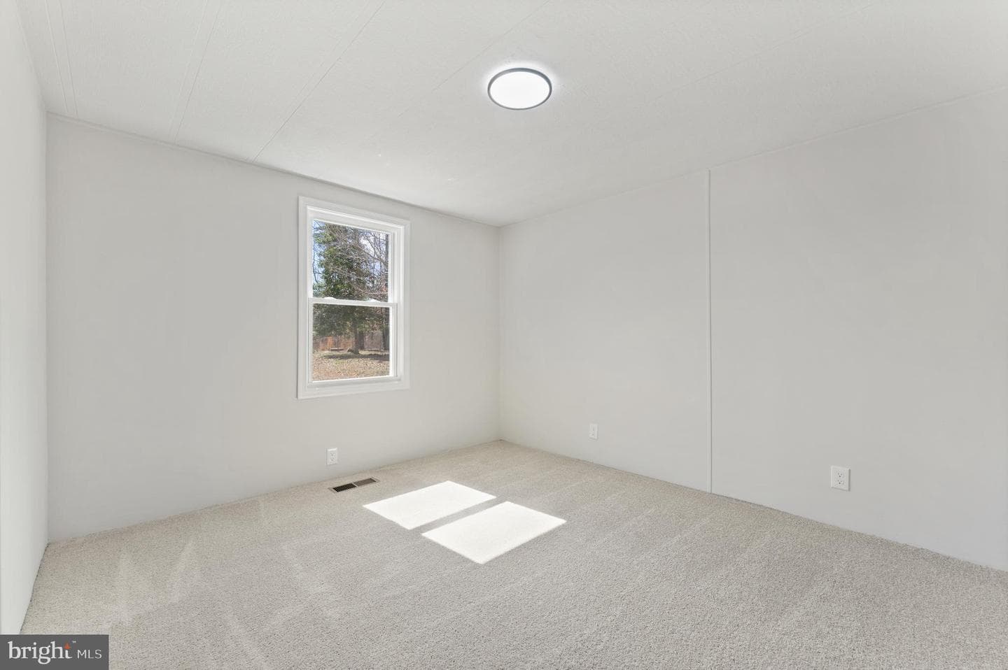 3662 Whitehall Road photo 27