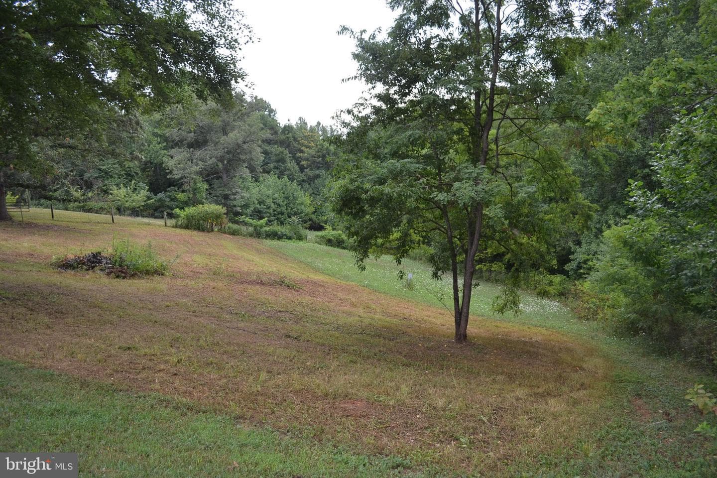 6919 Fredericksburg Road photo 49