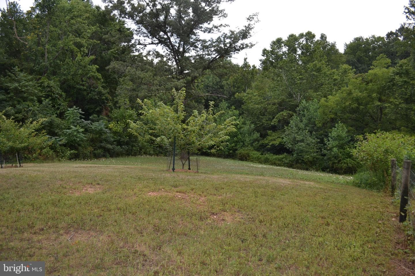 6919 Fredericksburg Road photo 50