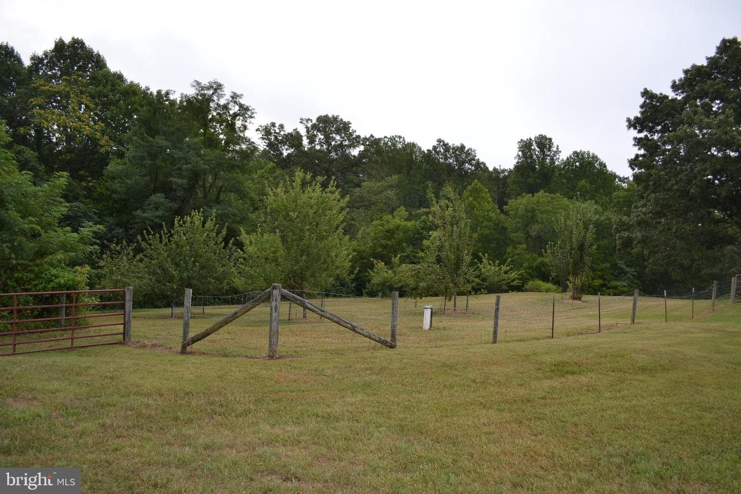 6919 Fredericksburg Road photo 51