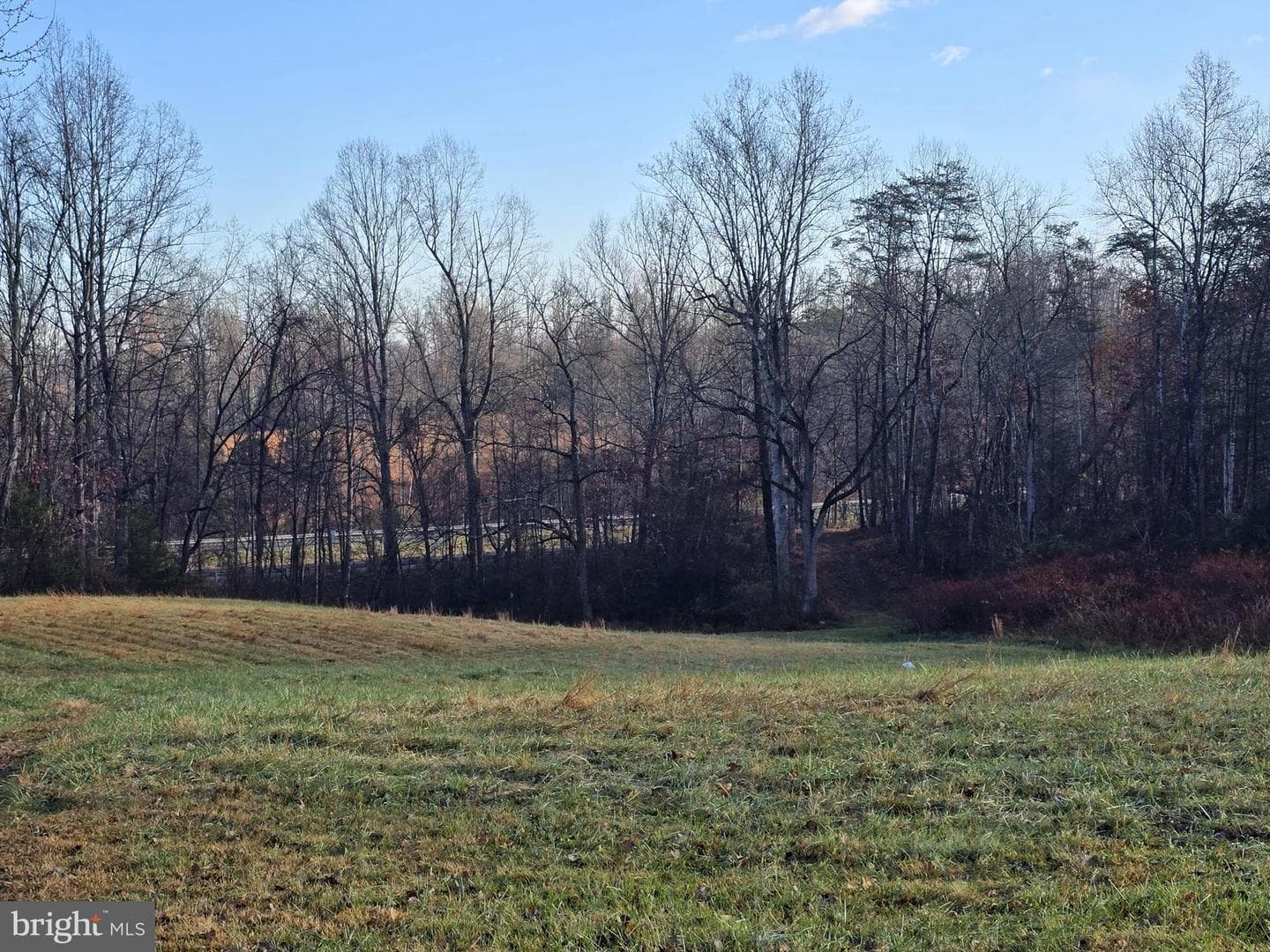 729 Celt Road photo 13