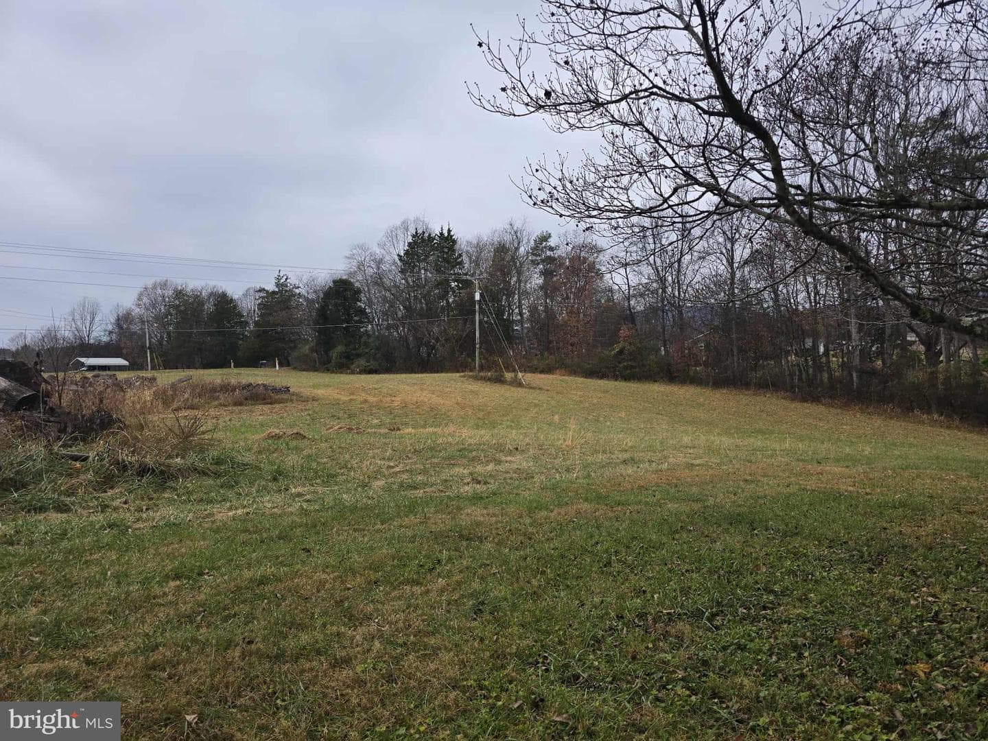 729 Celt Road photo 14