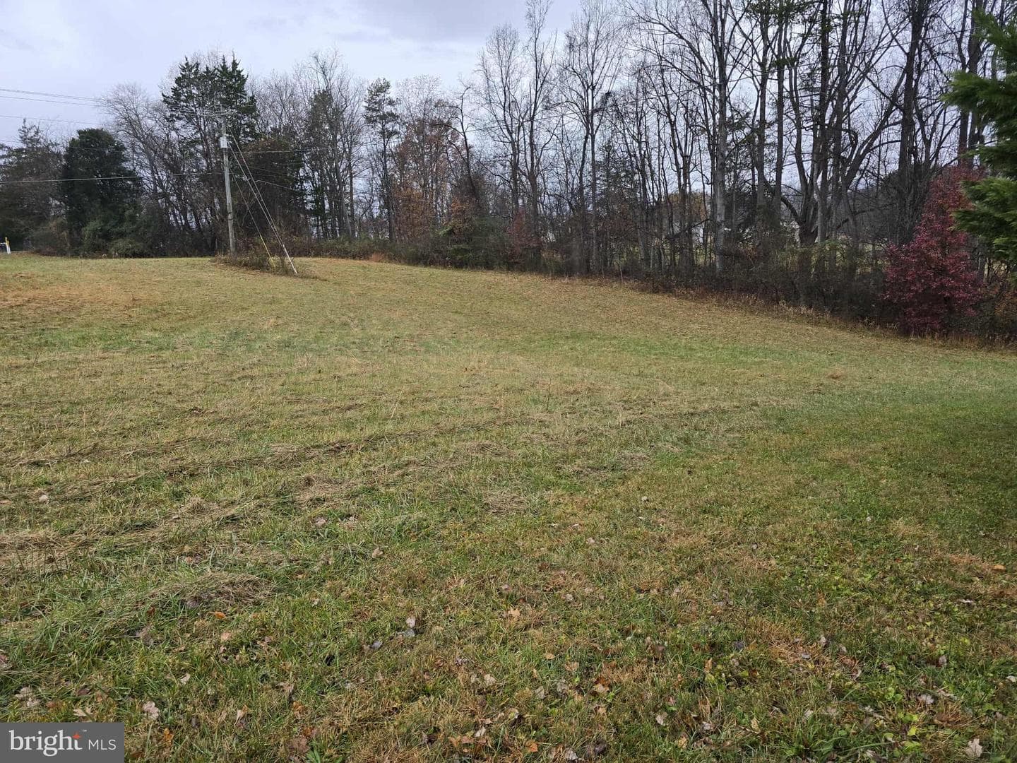 729 Celt Road photo 17