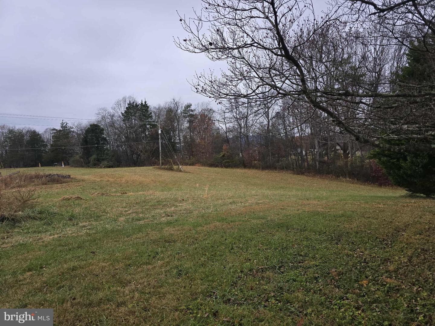 729 Celt Road photo 18