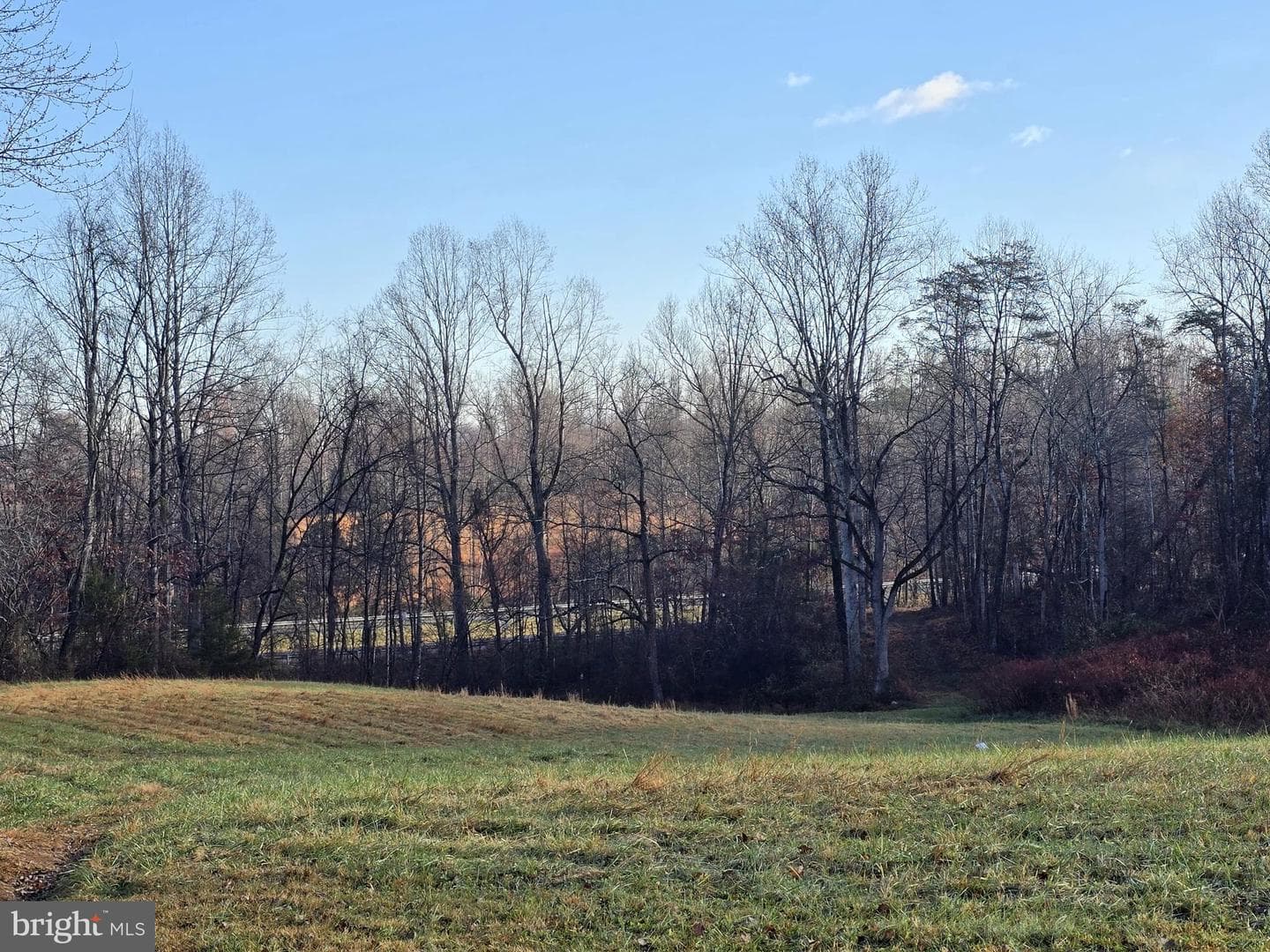 729 Celt Road photo 22