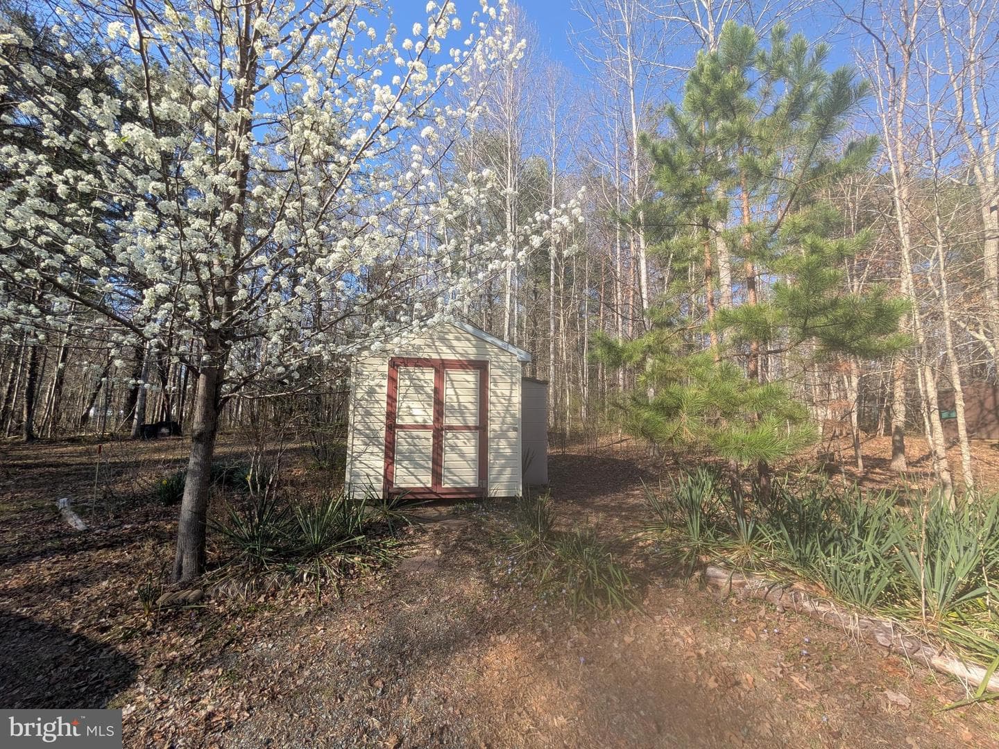 271 Rambling Road photo 24