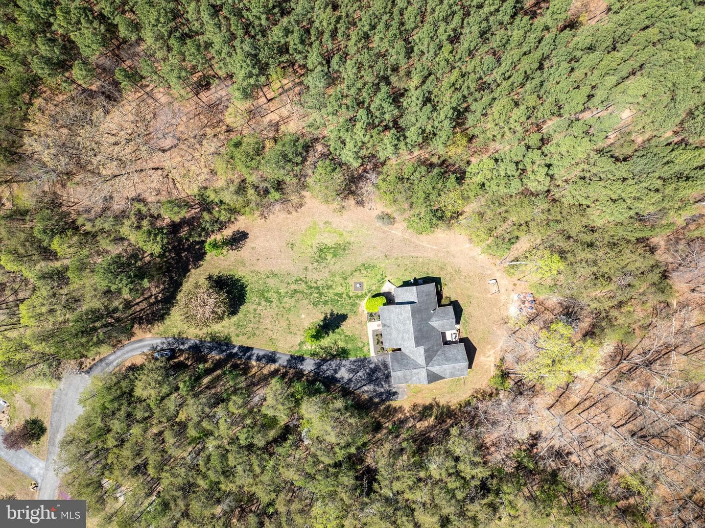 286 Lewis Drive photo 69