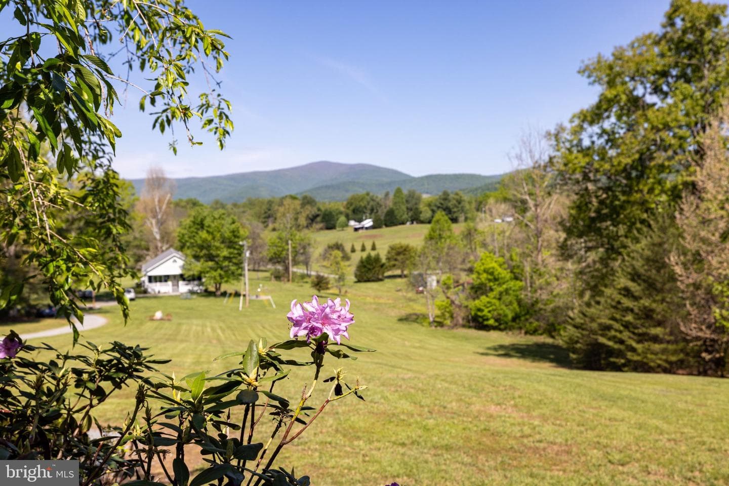 246 Lawsons Farm Cir photo 81