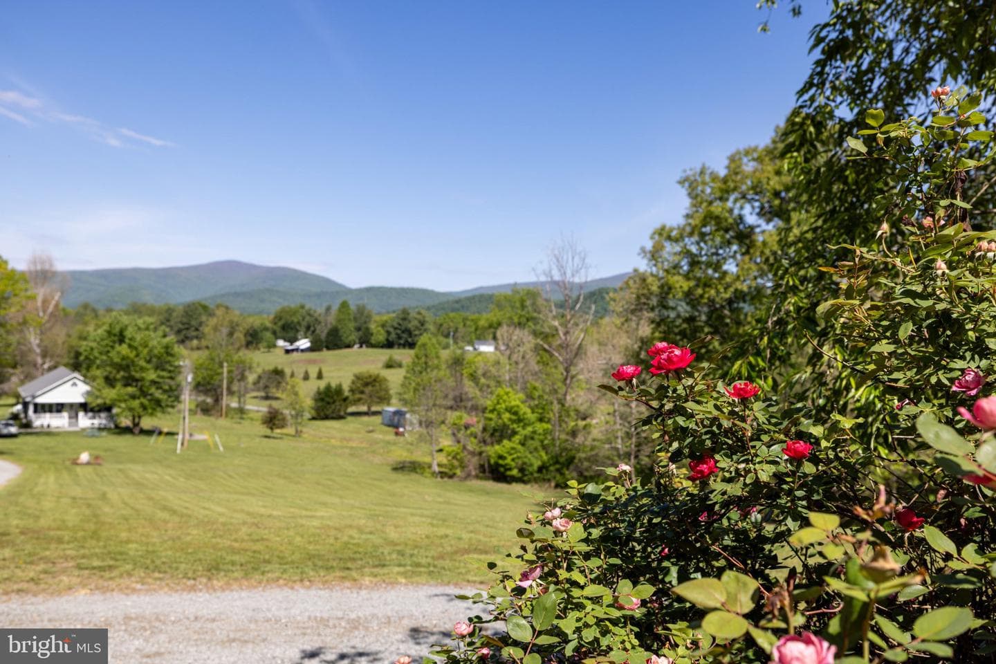 246 Lawsons Farm Cir photo 82