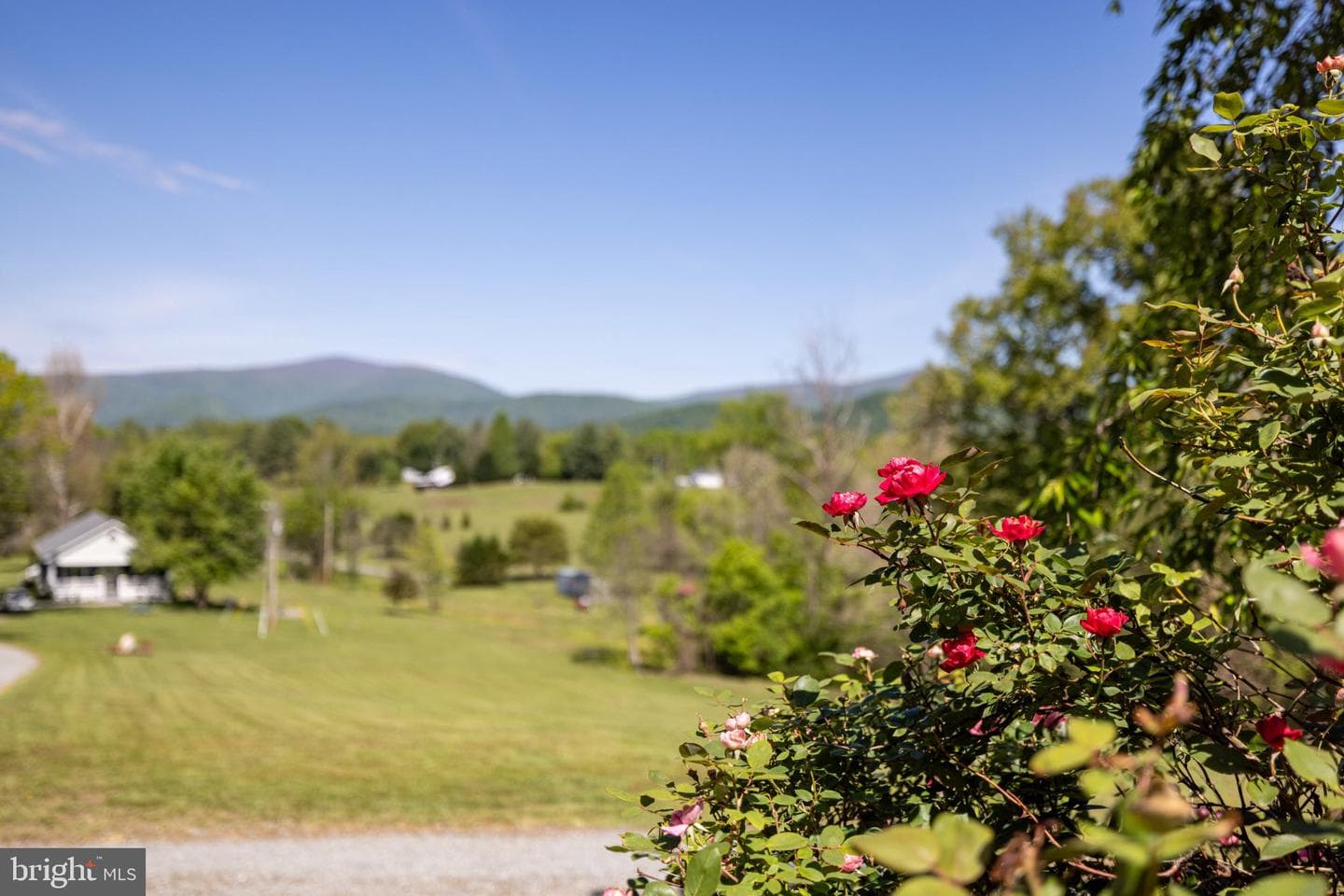 246 Lawsons Farm Cir photo 83
