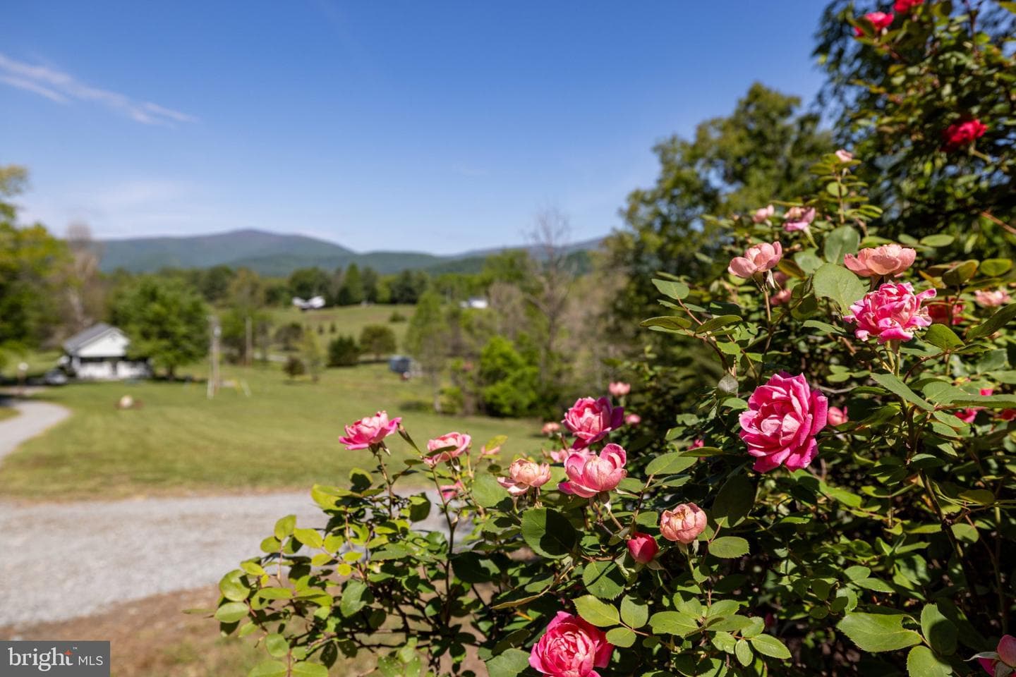 246 Lawsons Farm Cir photo 84