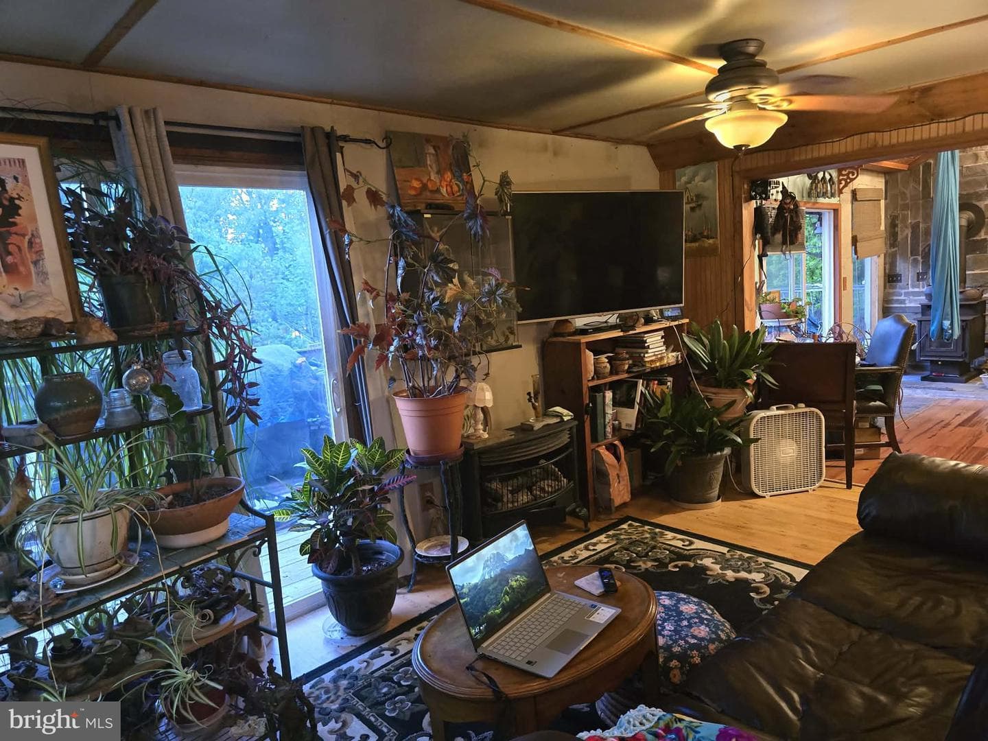 446 Spring Drive photo 11