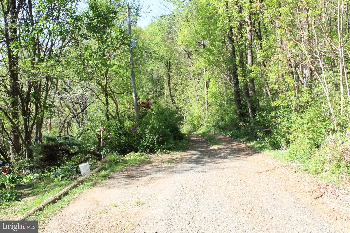 446 Spring Drive photo 29