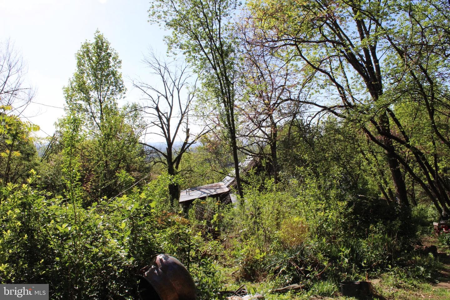 446 Spring Drive photo 42