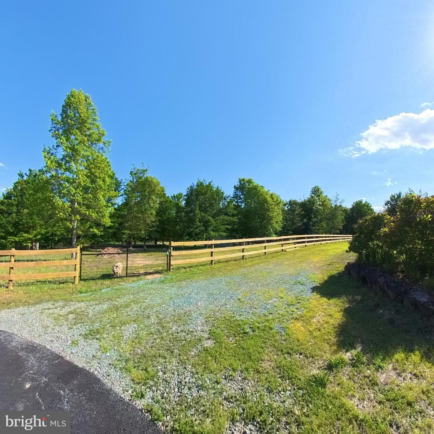 1225 Middle River Road photo 90