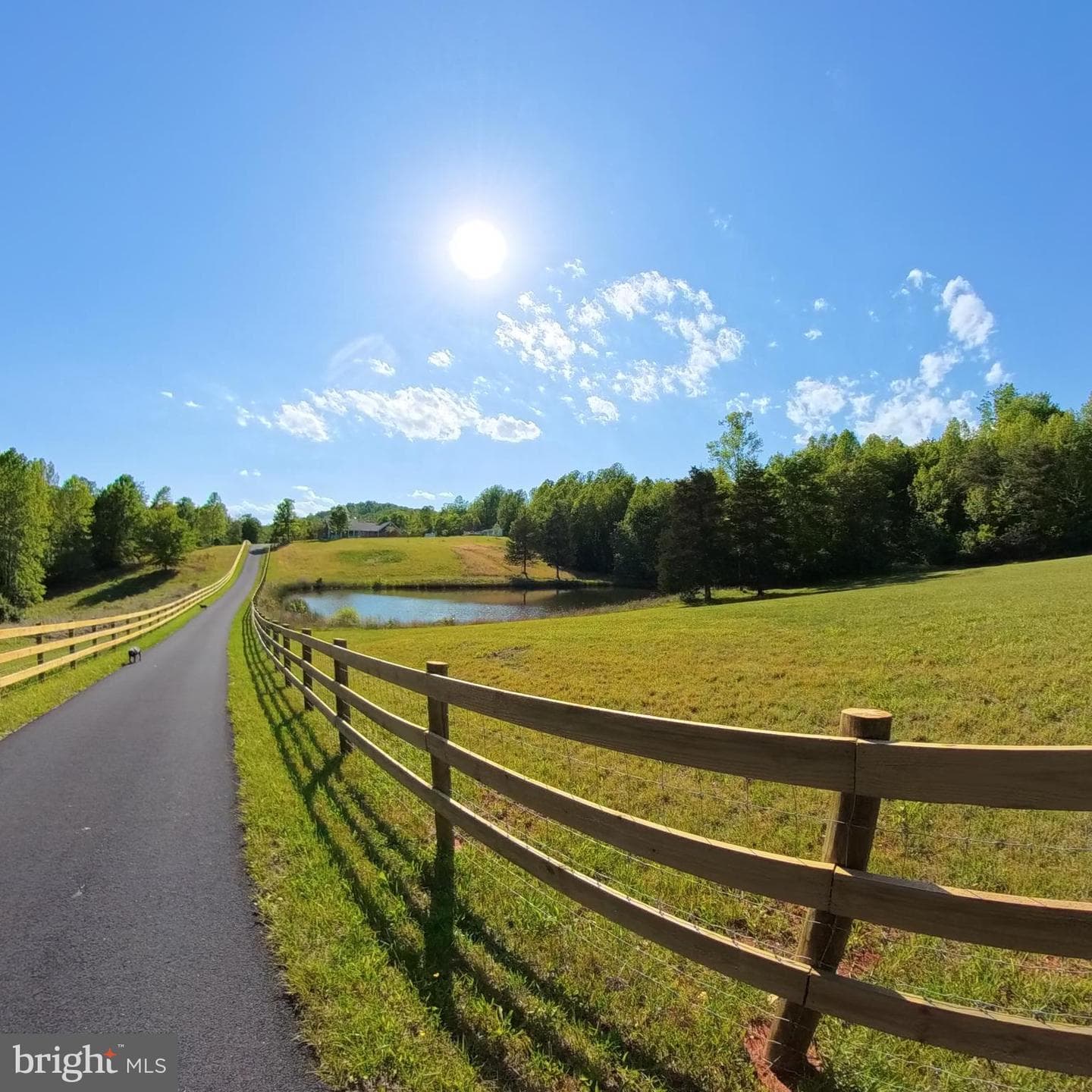 1225 Middle River Road photo 94