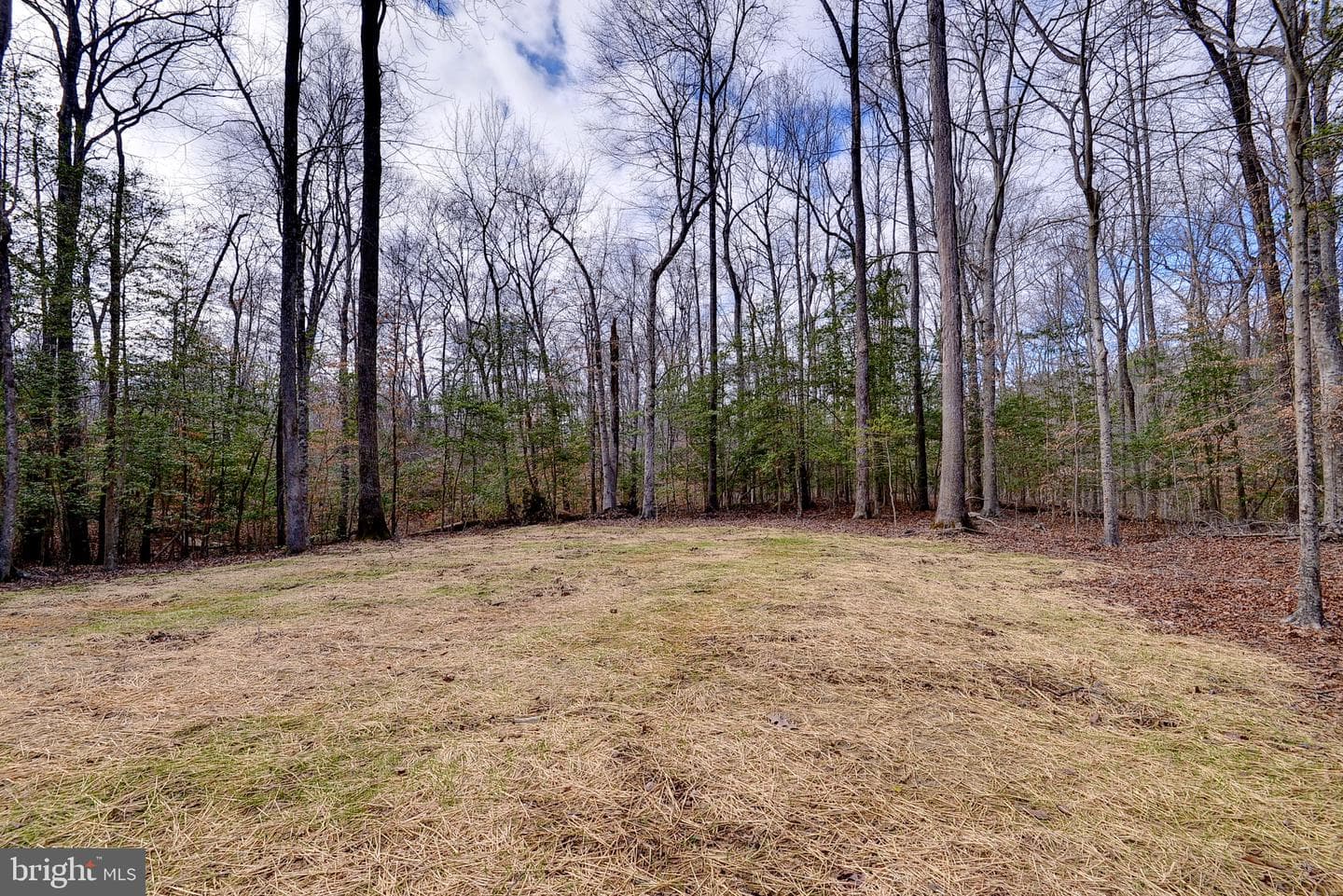 6551 Beaverdam Lane photo 39