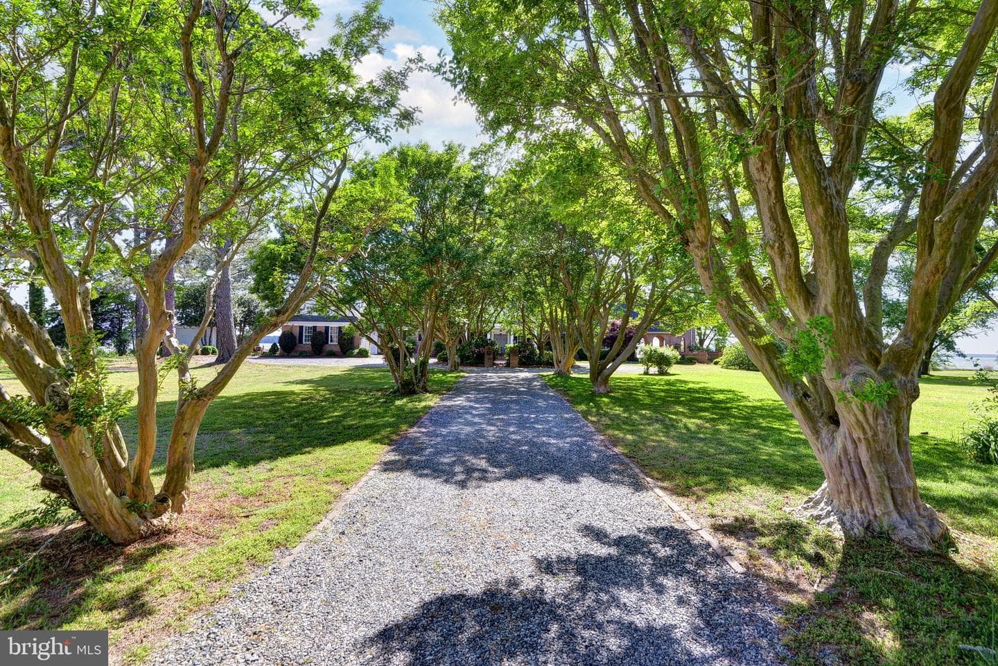 6454 Carmines Island Lane photo 8
