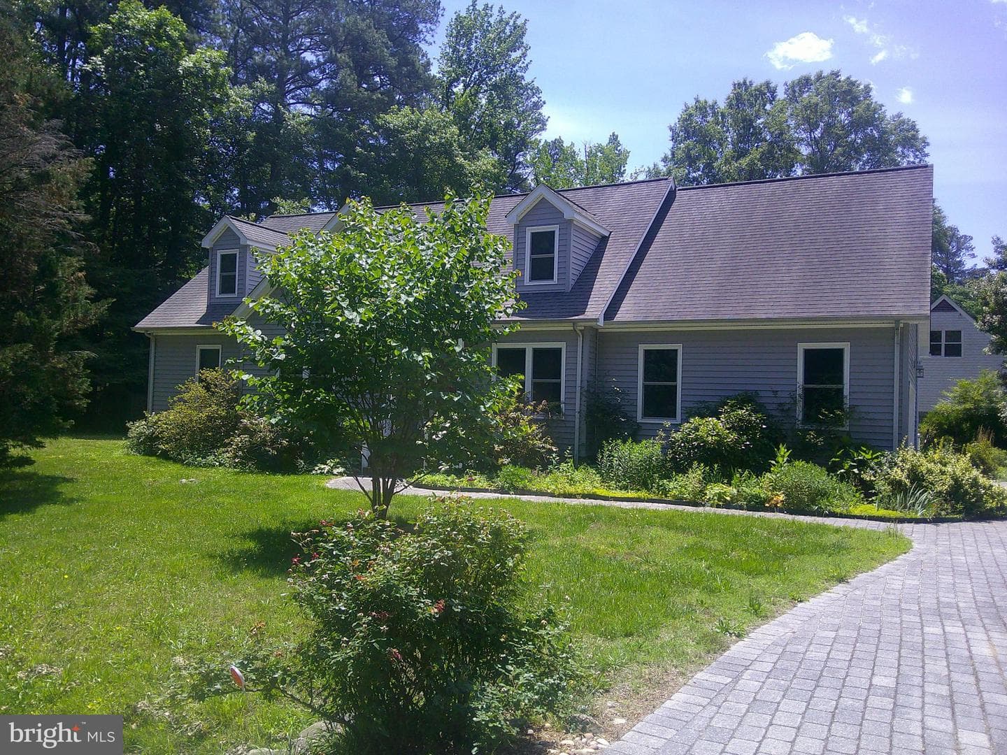 6514 Wyncote Avenue photo 3