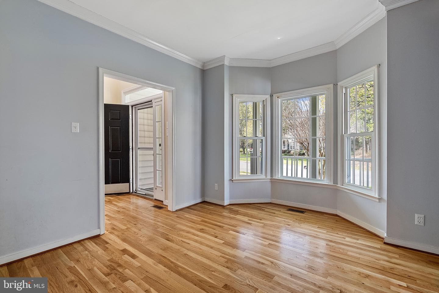 10188 Spring Ivy Lane photo 10